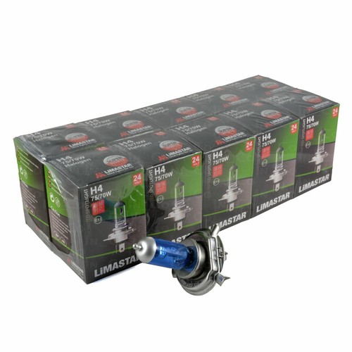 24v 70w xenon white - 24v,